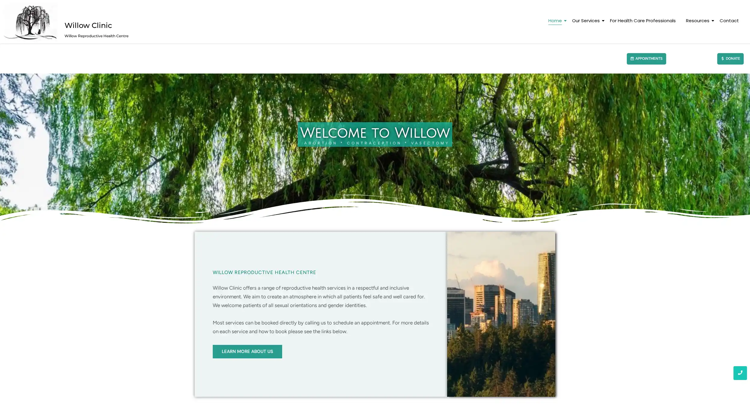 Willow Clinic Website